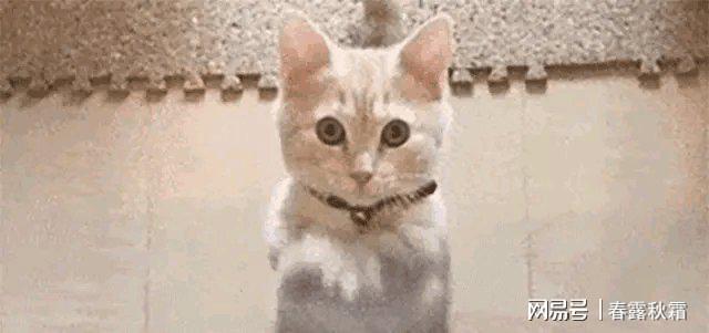 开云官方-牛鬼神蛇现原形！聂卫平去世仅一天，私生活被扒，王刚郎平被牵连